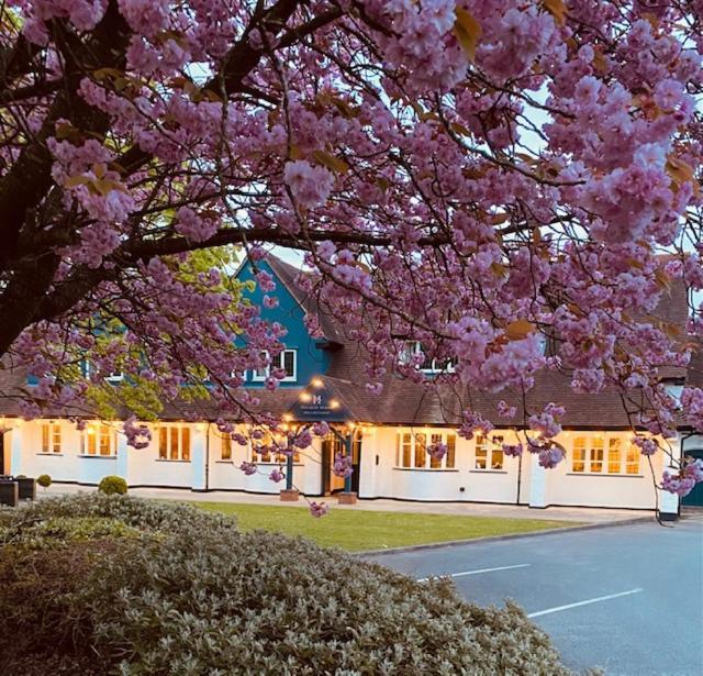Hockley House 호텔 하키 헬스 외부 사진